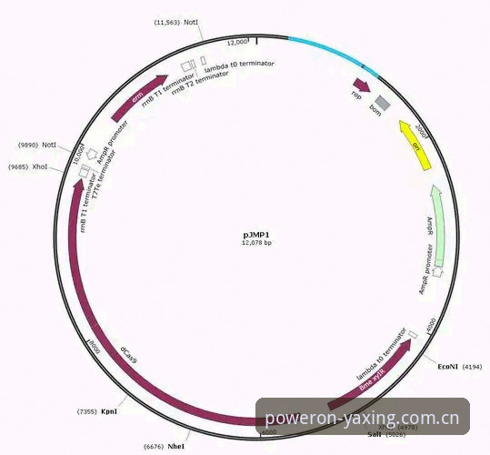 亚星CN基因级体验登录教程 亚星体育平台基因级体验登录完整指南:从失败到流畅的实操手册